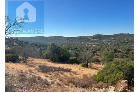 Helårsgrund i Paderne, Faro, Paderne - € 170.000 | Ref: VP1713 - foto 2