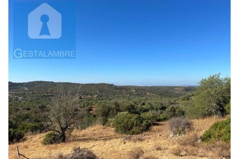 Helårsgrund i Paderne, Faro, Paderne - € 170.000 | Ref: VP1713 - foto 4