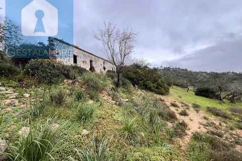 Helårsgrund i Paderne, Faro, Paderne - € 170.000 | Ref: VP1713 - foto 6