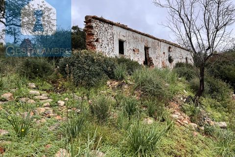 Helårsgrund i Paderne, Faro, Paderne - € 170.000 | Ref: VP1713 - foto 11
