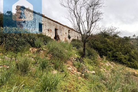 Helårsgrund i Paderne, Faro, Paderne - € 170.000 | Ref: VP1713 - foto 12