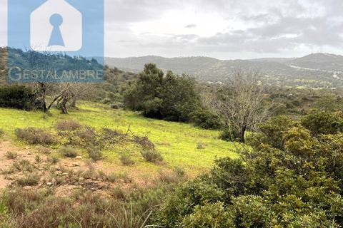 Helårsgrund i Paderne, Faro, Paderne - € 170.000 | Ref: VP1713 - foto 13