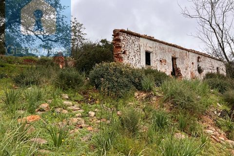Helårsgrund i Paderne, Faro, Paderne - € 170.000 | Ref: VP1713 - foto 14