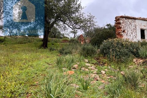Helårsgrund i Paderne, Faro, Paderne - € 170.000 | Ref: VP1713 - foto 15