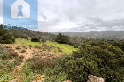 Helårsgrund i Paderne, Faro, Paderne - € 170.000 | Ref: VP1713 - foto 16