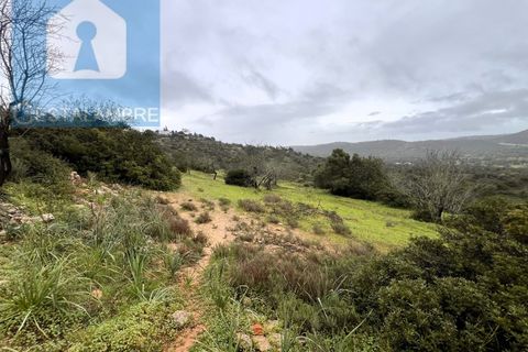Helårsgrund i Paderne, Faro, Paderne - € 170.000 | Ref: VP1713 - foto 17