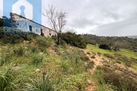 Helårsgrund i Paderne, Faro, Paderne - € 170.000 | Ref: VP1713 - foto 18