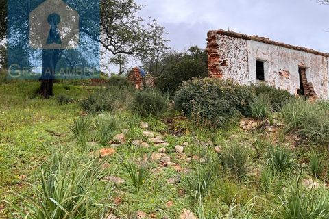 Helårsgrund i Paderne, Faro, Paderne - € 170.000 | Ref: VP1713 - foto 21