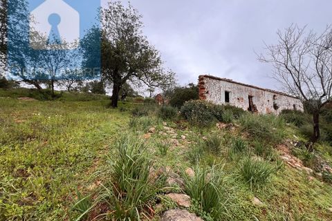 Helårsgrund i Paderne, Faro, Paderne - € 170.000 | Ref: VP1713 - foto 23