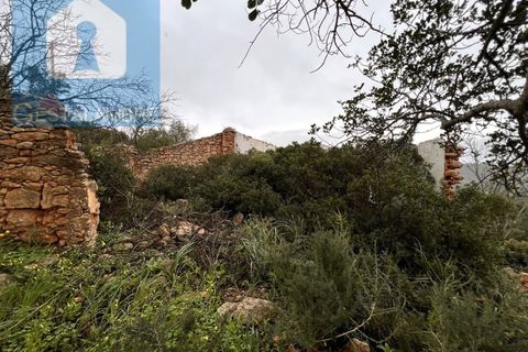 Helårsgrund i Paderne, Faro, Paderne - € 170.000 | Ref: VP1713 - foto 25