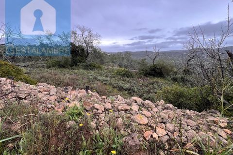 Helårsgrund i Paderne, Faro, Paderne - € 170.000 | Ref: VP1713 - foto 32