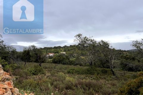 Helårsgrund i Paderne, Faro, Paderne - € 170.000 | Ref: VP1713 - foto 33