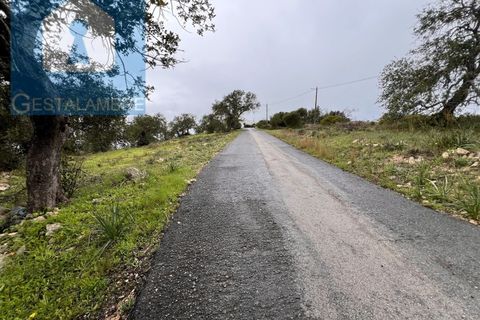 Helårsgrund i Paderne, Faro, Paderne - € 170.000 | Ref: VP1713 - foto 36