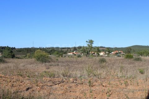 Helårsgrund i Tomar, Santarem, Tomar - € 125.000 | Ref: TM96794 - foto 3