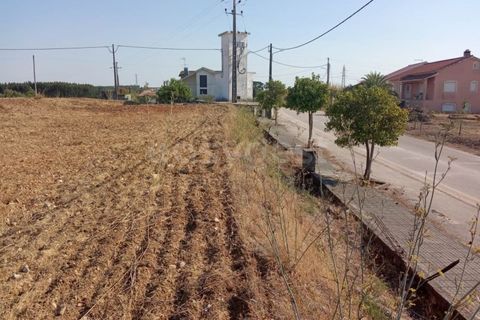 Helårsgrund i Tomar, Santarem, Tomar - € 125.000 | Ref: TM96794 - foto 5