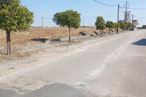 Helårsgrund i Tomar, Santarem, Tomar - € 125.000 | Ref: TM96794 - foto 6
