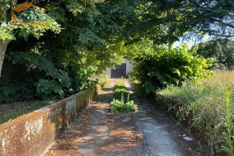 Villa a Mangualde, Viseu, Mangualde - € 481.000 | Ref: 804242006 - foto 3