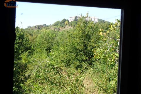 Villa a Mangualde, Viseu, Mangualde - € 481.000 | Ref: 804242006 - foto 14