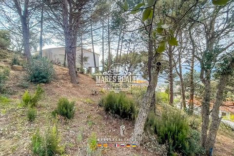 Terra a Lloret De Mar, Gerona, Lloret De Mar - € 65.000 | Ref: PAR0130 - foto 13