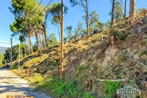 Terra a Lloret De Mar, Gerona, Lloret De Mar - € 65.000 | Ref: PAR0130 - foto 8