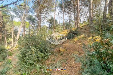 Helårsgrund i Lloret De Mar, Gerona, Lloret De Mar - € 65.000 | Ref: PAR0129 - foto 13