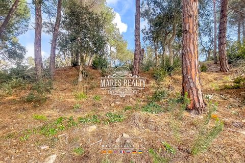 Helårsgrund i Lloret De Mar, Gerona, Lloret De Mar - € 65.000 | Ref: PAR0129 - foto 25