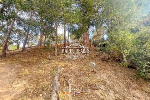 Helårsgrund i Lloret De Mar, Gerona, Lloret De Mar - € 65.000 | Ref: PAR0129 - foto 27