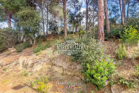 Helårsgrund i Lloret De Mar, Gerona, Lloret De Mar - € 65.000 | Ref: PAR0129 - foto 28