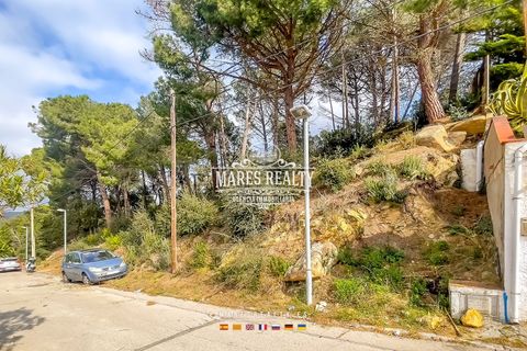 Helårsgrund i Lloret De Mar, Gerona, Lloret De Mar - € 65.000 | Ref: PAR0129 - foto 30
