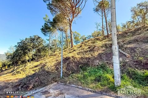 Helårsgrund i Lloret De Mar, Gerona, Lloret De Mar - € 65.000 | Ref: PAR0129 - foto 5