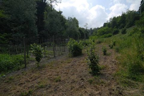 Villa i Dogliani, Cuneo, Dogliani - € 240.000 | Ref: DGL178 - foto 25