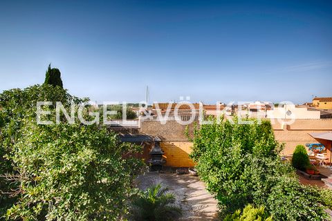 Villa a Castello D'empuries, Gerona, Castello D'empuries - € 499.000 | Ref: W-02WRRL - foto 20