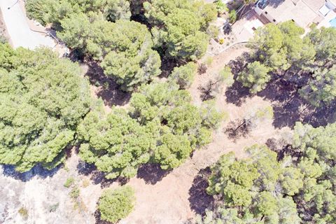 Helårsgrund i Moraira, Alicante, Moraira - € 800.000 | Ref: P26078* - foto 3