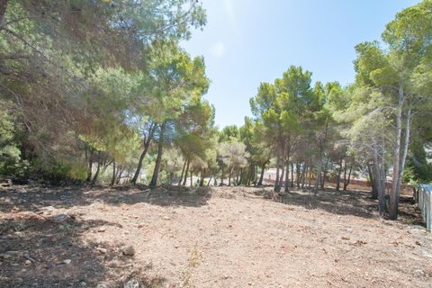 Helårsgrund i Moraira, Alicante, Moraira - € 800.000 | Ref: P26078* - foto 11