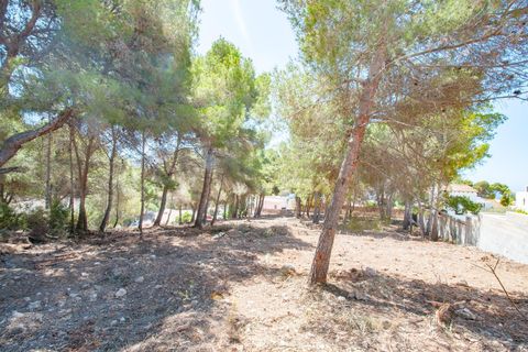 Helårsgrund i Moraira, Alicante, Moraira - € 800.000 | Ref: P26078* - foto 13
