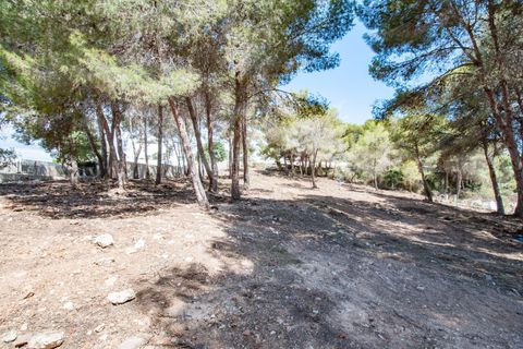Helårsgrund i Moraira, Alicante, Moraira - € 800.000 | Ref: P26078* - foto 14