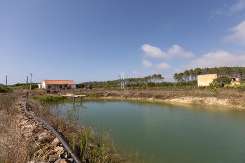 Farm hus i Rogil, Faro, Rogil - € 1.400.000 | Ref: BLZ-123071 - foto 3