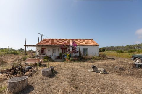 Farm hus i Rogil, Faro, Rogil - € 1.400.000 | Ref: BLZ-123071 - foto 4