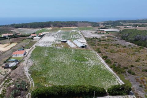 Farm hus i Rogil, Faro, Rogil - € 1.400.000 | Ref: BLZ-123071 - foto 5