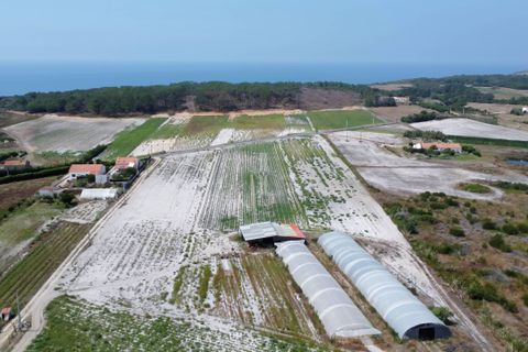 Farm hus i Rogil, Faro, Rogil - € 1.400.000 | Ref: BLZ-123071 - foto 6