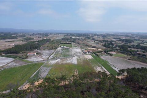 Farm hus i Rogil, Faro, Rogil - € 1.400.000 | Ref: BLZ-123071 - foto 8