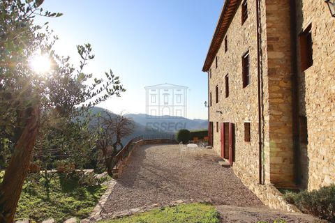 Villa i Lucca, Lucca, Lucca - € 2.100.000 | Ref: IA03974 - foto 14
