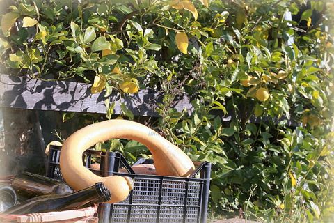 Villa i Lucca, Lucca, Lucca - € 5.000.000 | Ref: IA04010 - foto 48