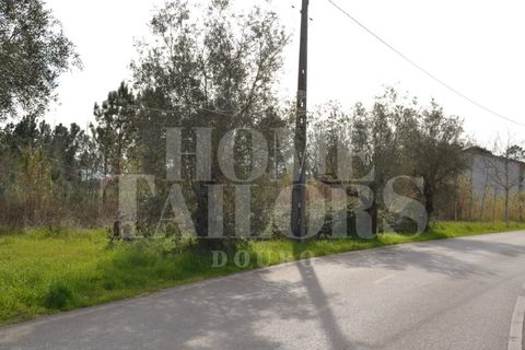 Tomt i Anadia, Aveiro, Anadia - € 55 000 | Ref: HT7021 - foto 2