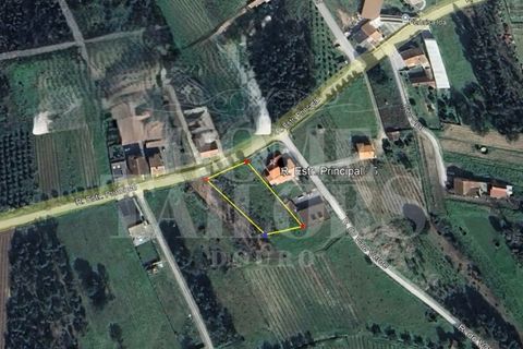 Tomt i Anadia, Aveiro, Anadia - € 55 000 | Ref: HT7021 - foto 3