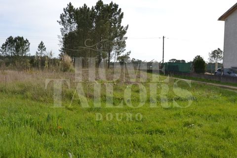 Tomt i Anadia, Aveiro, Anadia - € 55 000 | Ref: HT7021 - foto 5