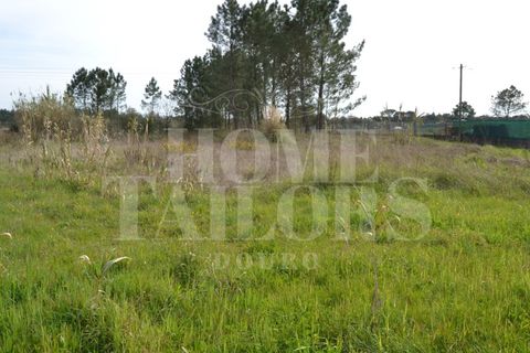 Tomt i Anadia, Aveiro, Anadia - € 55 000 | Ref: HT7021 - foto 6