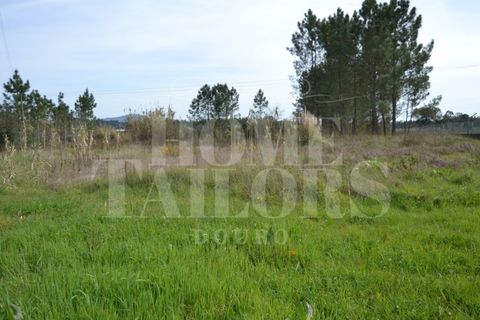 Tomt i Anadia, Aveiro, Anadia - € 55 000 | Ref: HT7021 - foto 7