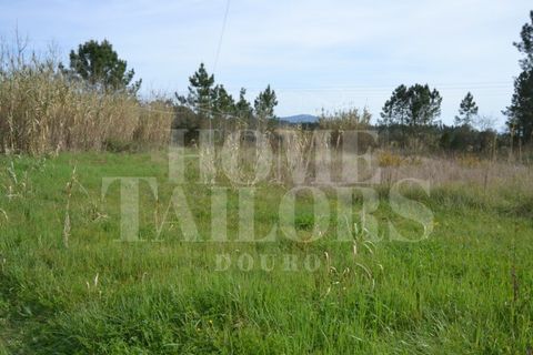 Tomt i Anadia, Aveiro, Anadia - € 55 000 | Ref: HT7021 - foto 8