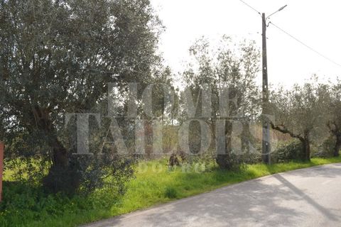 Tomt i Anadia, Aveiro, Anadia - € 55 000 | Ref: HT7021 - foto 9